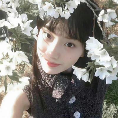 大楼里只有谋杀第四季